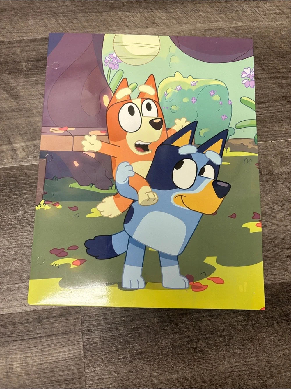 Bluey school folders